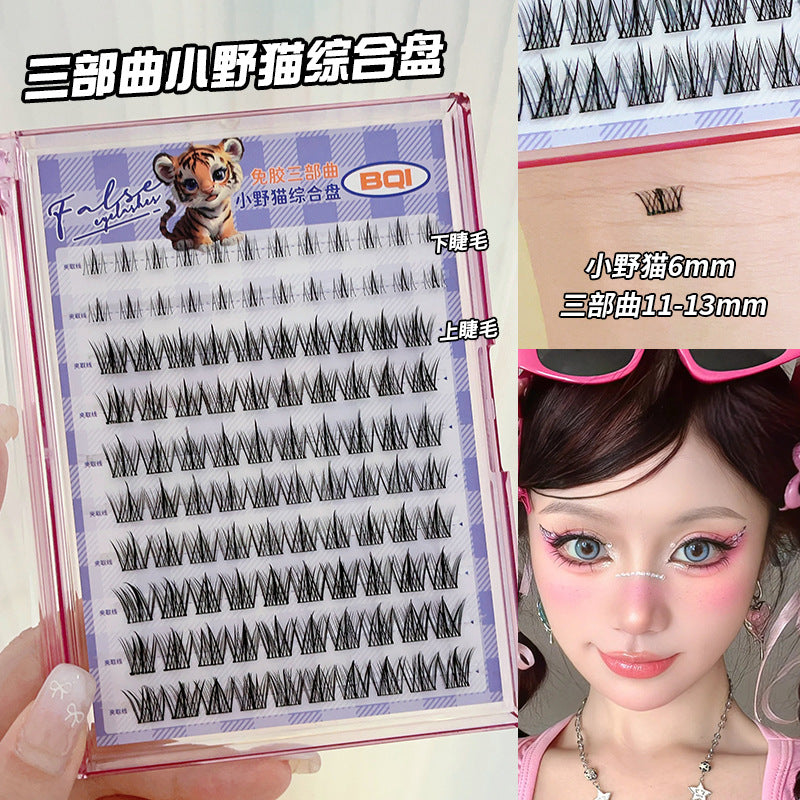 Adhesive-Free False Eyelashes: Large Pack of 10 Rows, No-Remove False Eyelashes, Individual Clusters, Upper and Lower Lashes, Beautiful Eyelashes, Makeup Set with Tweezers